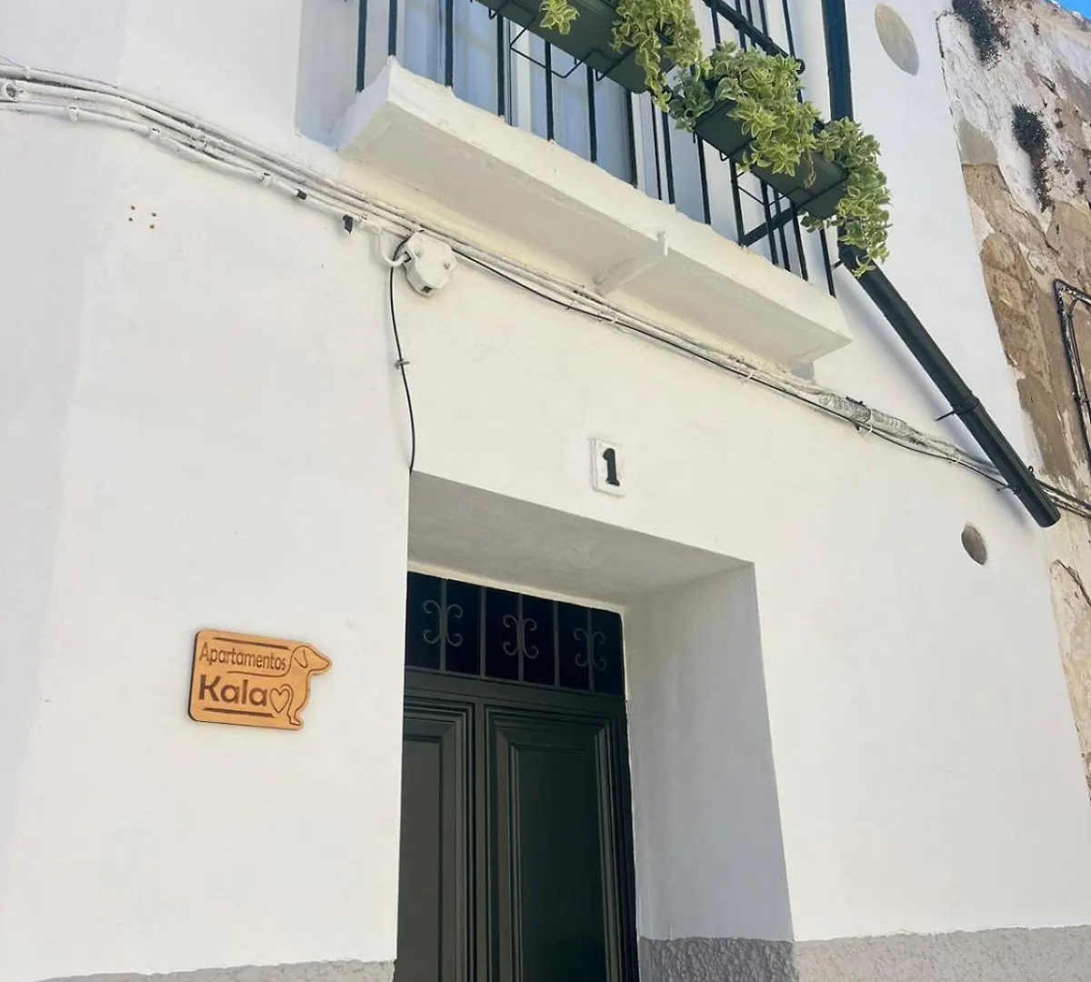 Apartment Kala Atico - Apartamento Centro Jerez Jerez de la Frontera Spain
